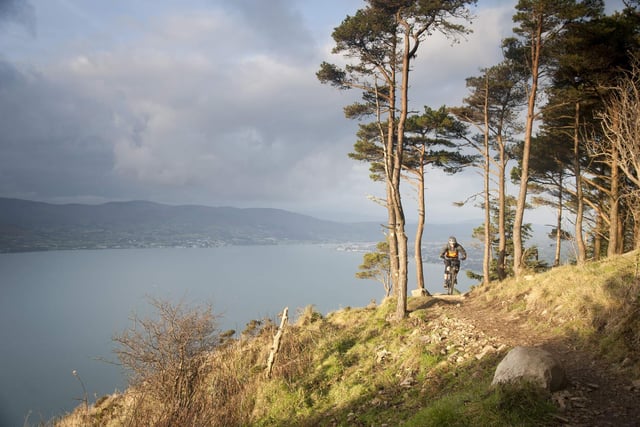 If you’re the adventurous type and downhill is your game then both purpose-built trails leading to #KodakCorner are the exhilarating cycle routes you need.
The Rostrevor Mountain Bike Trails on Carlingford Lough have some of the most stunning coastal views and mind-blowing singletrack descents.