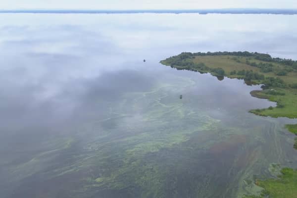 An aerial picture showing the blue-green algae in the water in the north west corner on the Lough. Credit: Lough Neagh Rescue