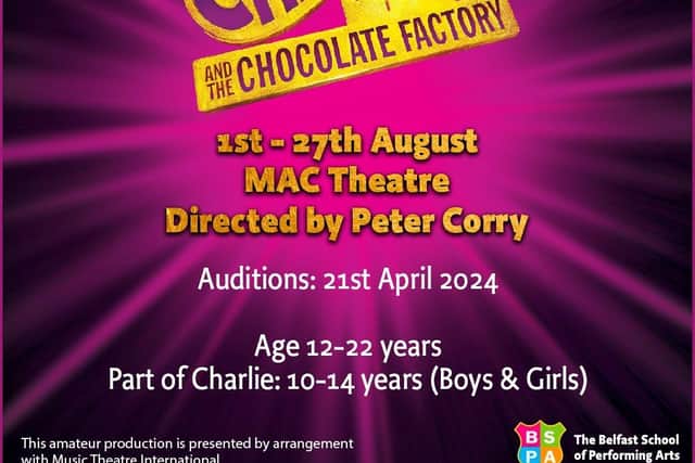 Charlie and the Chocolate Factory has been announced as this year's BSPA Summer Youth Project. Pic credit: BSPA