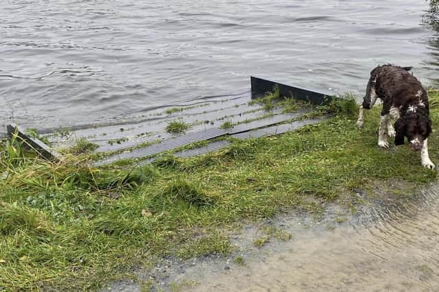 Soggy dog braves Storm Ciaran to take a walk around Craigavon City Park on Tuesday. One dog was spotted swimming beside its owner who was strolling knee deep in water.