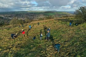The Woodland Trust is organising a series of tree planting events for the public at Glas-na-Bradan Wood. Picture: Michael Cooper