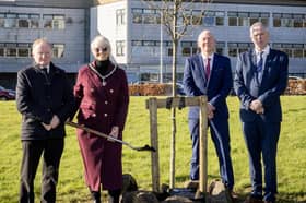 Deputy Mayor of Causeway Coast and Glens, Councillor Tanya Stirling, pictured with Councillors Russell Watton, Philip Anderson and John Wisener, at the Queen Elizabeth II tree painting at Cloonavin, Coleraine.