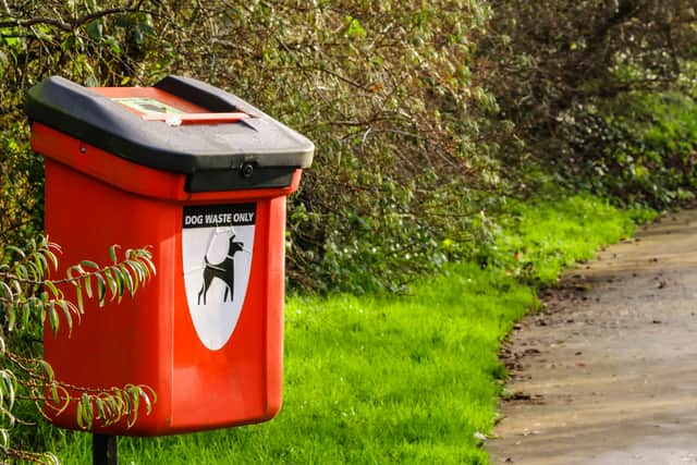 Councillor Kane said he counted 17 instances of dog fouling on Ballymoney High Street on a Saturday afternoon. CREDIT CCGBC