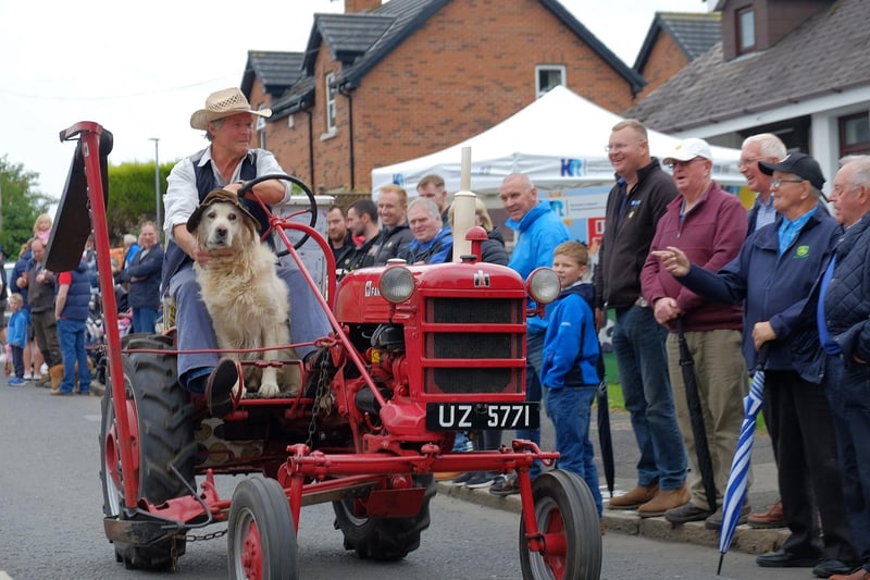 A dog on a tractor at Waringstown Cavalcade in aid of N. Ireland Kidney Research Fund CREDIT: LiamMcArdle.com