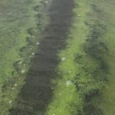 Council said: "In relation to Castlerock bathing water, DAERA has confirmed there is no presence of blue-green algae at this location. Castlerock beach will continue to be monitored for any visual presence of blue-green algae by DAERA and Council staff will assist." Credit NI World