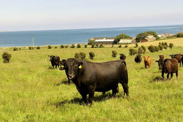 Ballymoat Farm is a family-run business in Ballyhalbert