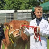 Ethan and Emily Bell from Rock, Dungannon, with their prize winning Limousin calf. Picture: Julie Hazelton