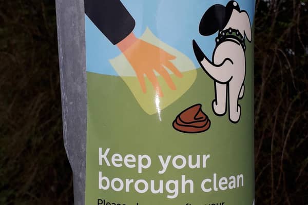 Councillors were told 48 fixed penalty notices were issued for dog fouling and littering during 2023/24. Photo: Local Democracy Reporting Service