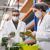 Northern Ireland has the highest rating of all regions in the UK, with an average Food Hygiene of 4.68 out of 5. Image credit: High Speed Training.