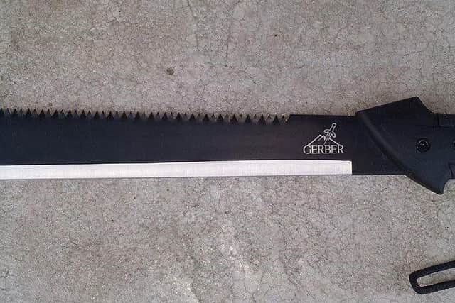 Gerber Legendary Blades machete/saw combo. Copyright Dana60Cummins via Wikimedia Commons