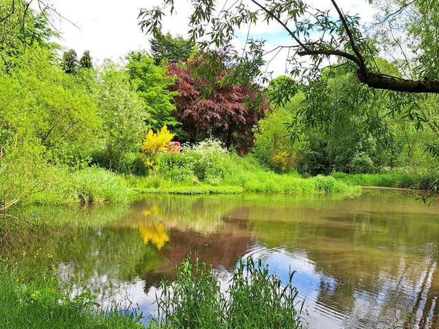 Lynette McAdoo's favourite view is this one of Moneymore, which shows off the rich colours of nature in beautiful sunshine.