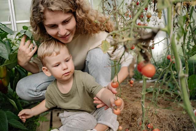 Create a 'grow your own' space to enjoy with your children.