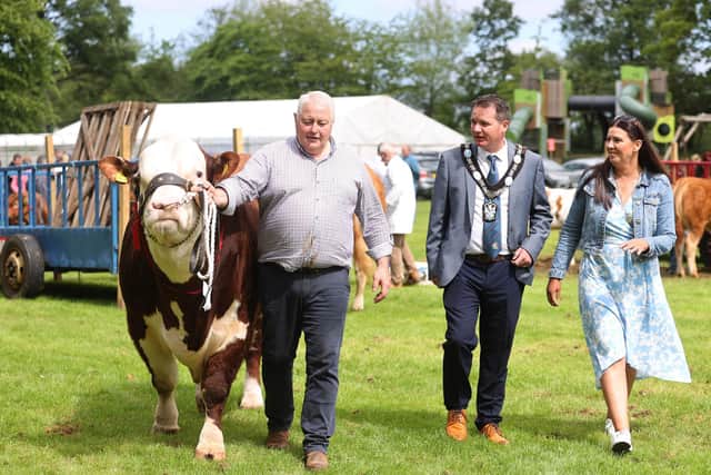 At Lurgan Show in Lurgan Park, Co Armagh.