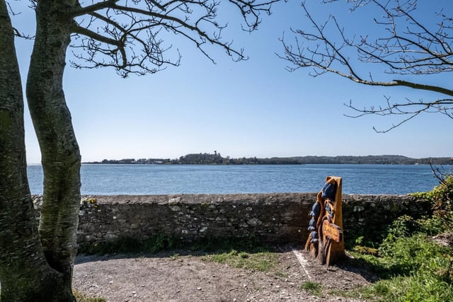 On the shore of Strangford Lough, this wood of mature mixed broad-leafed trees offers beautiful views towards Castle Ward and Audley’s Castle. 

The walk itself (around 1.5 miles) promises sightings of red squirrels, bluebells, honeysuckle and stitchwort - their scent mingling with the sea air. Also be on the lookout for carvings of magical woodland creatures.