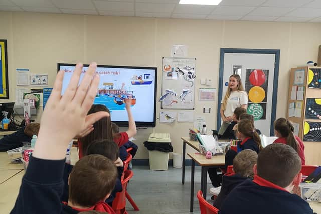 A class of Year 6 (P7) pupils get a lesson on the diverse range of seafood from around Northern Ireland’s coasts