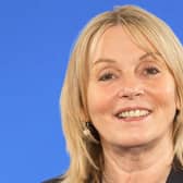 Alderman Amanda Grehan has spoken out against the introduction of the Electronic Travel Authorisation (ETA) scheme. Pic credit: McAuley Multimedia