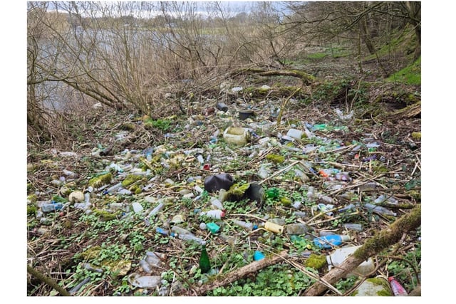 Plastic pollution has become so severe it now forms a carpet of waste in some sections of the riverbank