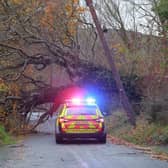 The scene at Ballinatemple Road in Meigh, south Armagh on Monday morning with a fallen tree. Picture: Pacemaker