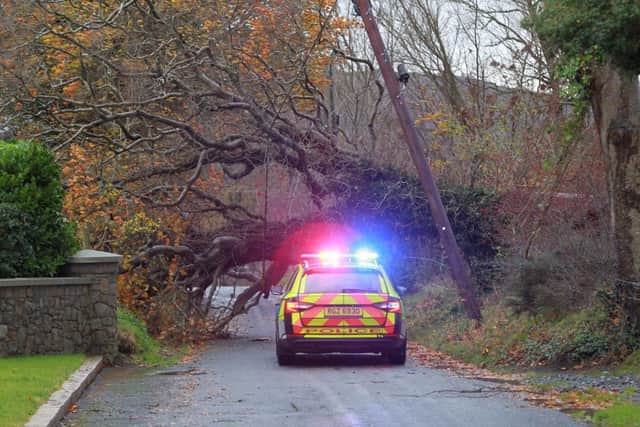The scene at Ballinatemple Road in Meigh, south Armagh on Monday morning with a fallen tree. Picture: Pacemaker