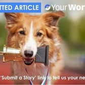 Submit your story