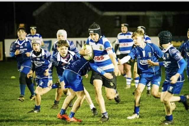 Action from Newry Rugby Club's U12s blitz