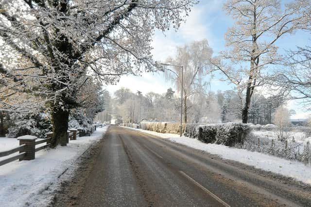 Pepper's Trees, Tandragee Road,  during the freeze some years ago. INPT50-225.