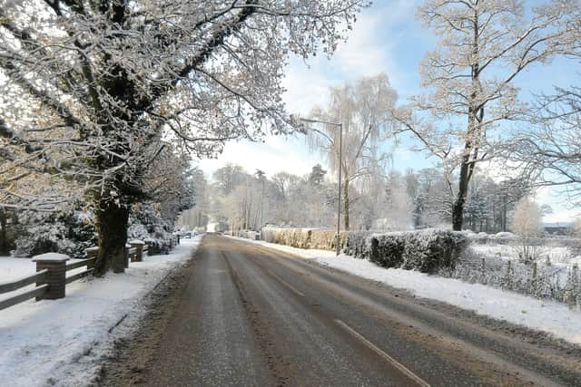 Pepper's Trees, Tandragee Road, during the freeze some years ago. INPT50-225.