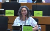 Sinn Fein MEP Lynn Boylan in the European Parliament.