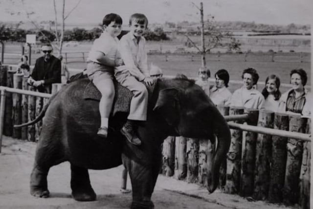 Causeway Coast and Glens Museum Services are putting together an exhibition about the Safari Park at Benvarden - can you help?