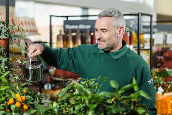 Dobbies will be hosting two free workshops in the New Year