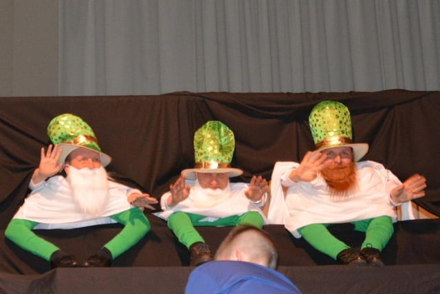 The Little Leprechauns provided great entertainment at the Finvoy BB display.