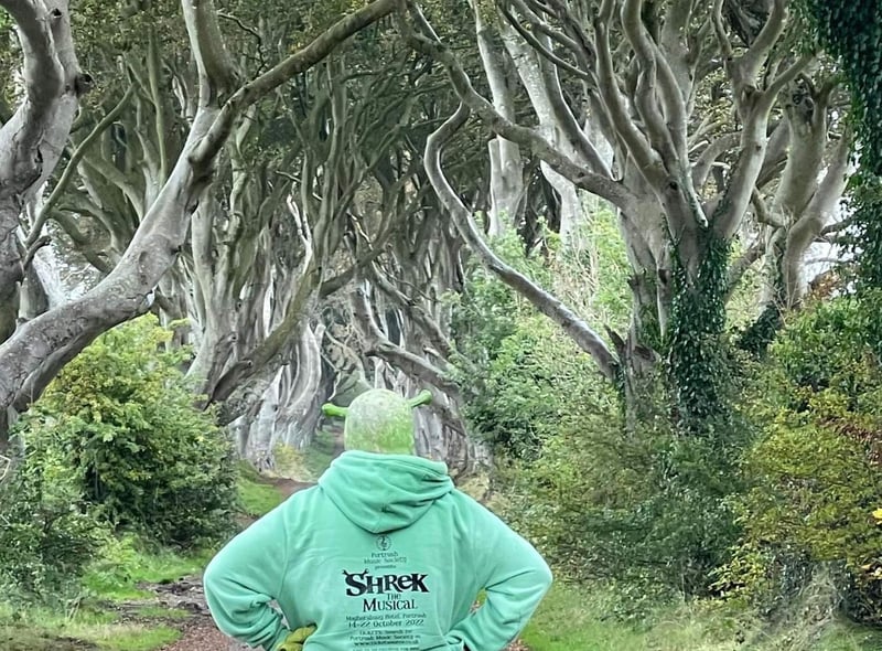 Shrek at the Dark Hedges