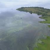 Toxic blue green algae in Lough Neagh.