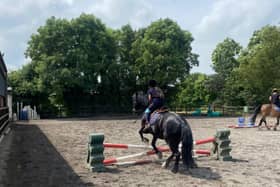 Pictured: The horse-riding session in progress. The Pony Camp’ for children who have been adopted gave children an opportunity to socialise with other children who have also experienced the adoption process. Photo contributed via South Eastern HSC Trust