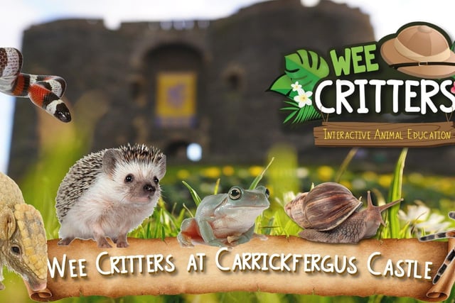Join Allan the Explorer, from Thursday, February 15 to Saturday, February 17, as he takes you and your little explorers on a wild adventure and introduces you to his amazing animal friends along the way. Tickets are limited, so call Tuesday - Sunday on 02893351273 to book your space. Normal admission to Carrickfergus Castle applies.
