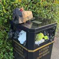 Call for increased public bins in Carryduff as rubbish flows onto the streets