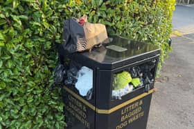 Concerns raised about overflowing bins in Carryduff. Pic credit: LDRS
