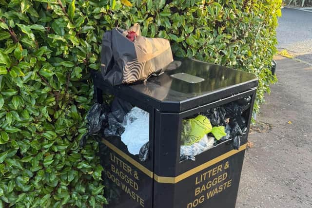 Concerns raised about overflowing bins in Carryduff. Pic credit: LDRS