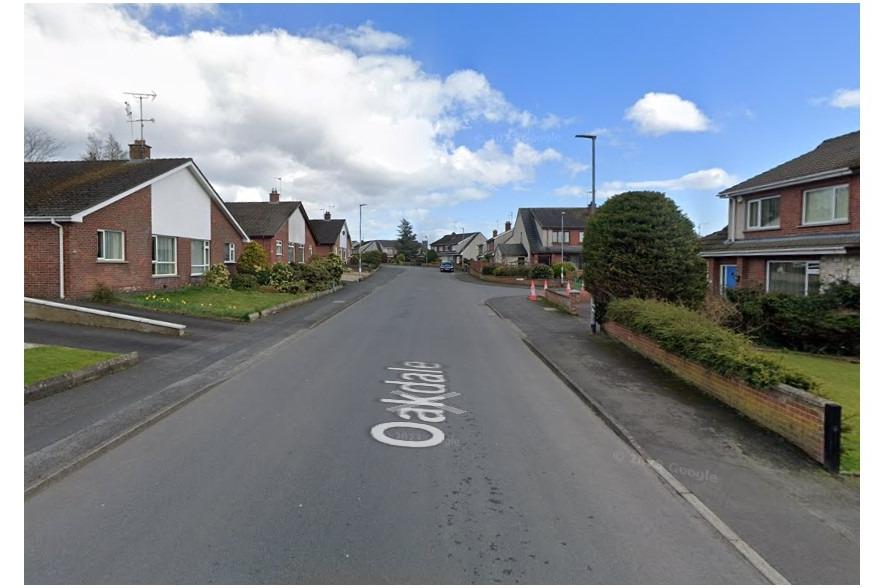 Ballygowan: man arrested on rooftop after shotgun is fired in residential street