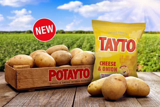 The new Potayto product is set to revolutionise mealtimes.  Picture: Tayto / Getty Images / iStockphoto