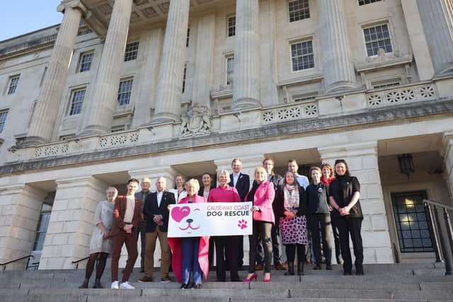 Chair Margaret Dimsdale-Bobby, Causeway Coast Dog Rescue, with Trustees and speakers on the steps of Stormont ready for the CCDR Animal Welfare Conference 6th October.