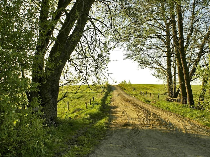 Similar to the previous sport on this list, ‘long bullets’ involved rolling a metal ball or heavy stone along long stretches of country roads. The difference with this version was that it was purposely played on uneven terrain. The skills needed to play this sport accurately were arguably more difficult to master than those needed for plain old ‘road bowling’.  This variation required a deep understanding of the uneven landscape, as well as the usual strength it takes to roll the ball any distance to begin with. This version of the sport faded as even tarmac roads and modern transportation were introduced, and, in time, reduced the accessibility of these old routes.