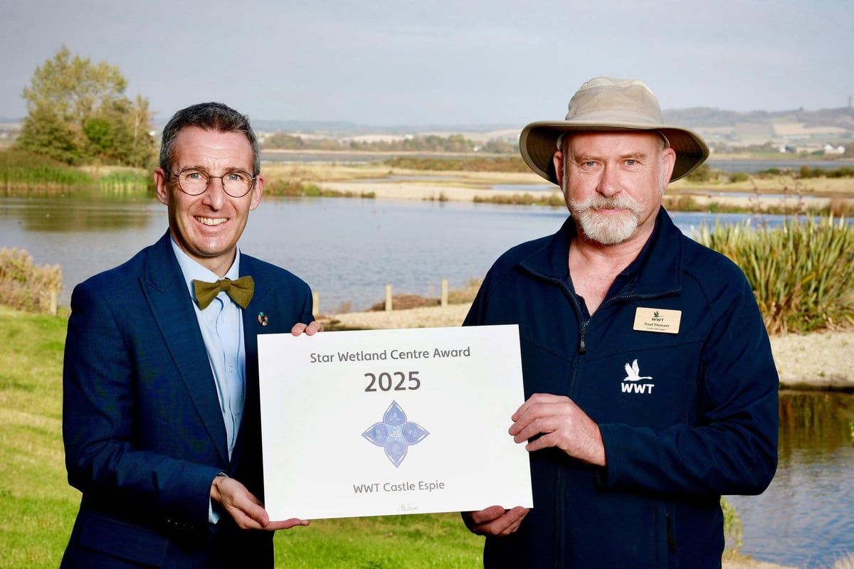 “We’re honoured to have received this': WWT Castle Espie centre manager celebrates major global award for Comber wetland reserve