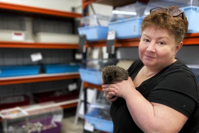 Andrea Cowan who runs Loughgall Hedgehog Rescue and features in the new BBC NI series The Chronicles Of Armagh. Picture: BBC