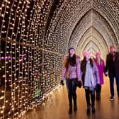 Christmas Cathedral. Photo by Brian Morrison