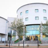 Concern over council staff sick days in Lisburn and Castlereagh. Pic credit: NIWD