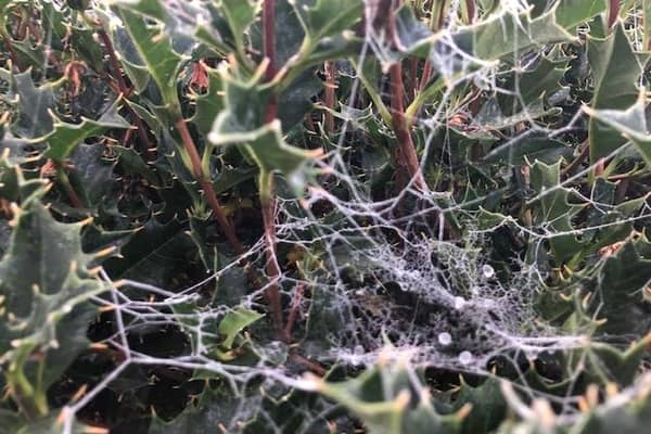 Temperatures remain at freezing point and below in some areas of the province.