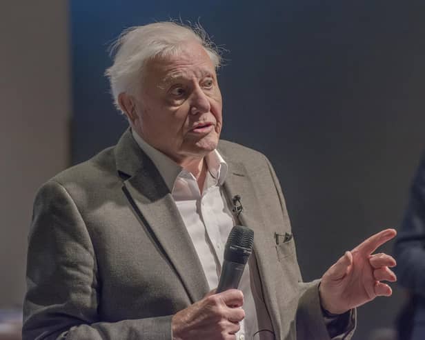 Sir David Attenborough the most sought after guest speaker (photo: Getty Images)