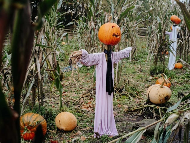 Journey back in time to experience the very core of Halloween traditions in Ulster. From 18th and 19th century celebrations to trying old fashioned fayre, you and your family are invited to uncover the age old traditions and folklore that has made Halloween what it is today.
For more information, go to fermanaghlakelands.com/whats-on/halloween-at-ulster-american-folk-park