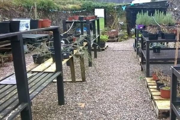 The Drying Yard at Springhill where the Community Gardening activities will take place. Credit: Submitted
